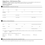St Peter Life Plan Online Application Form Printable Fill Out Sign