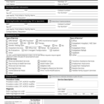 Superior HealthPlan SHP 2013218 2018 2021 Fill And Sign Printable