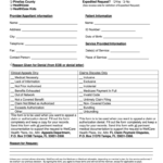 WellCare Provider Appeal Request Form 2010 2022 Fill And Sign